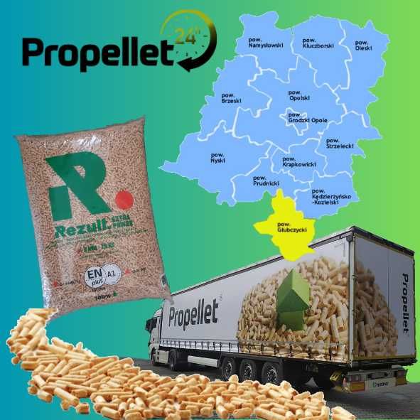 Pellet Rezult 6 mm Propellet24 Opole