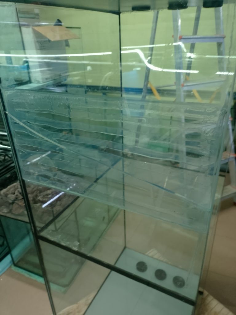 Aquário dividido em dois