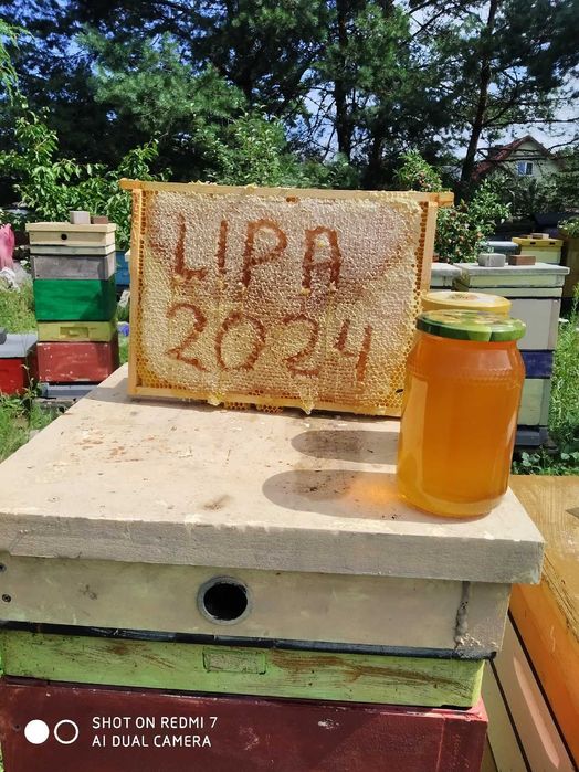 Miód wielokwiatowy i lipowy  z 2024r