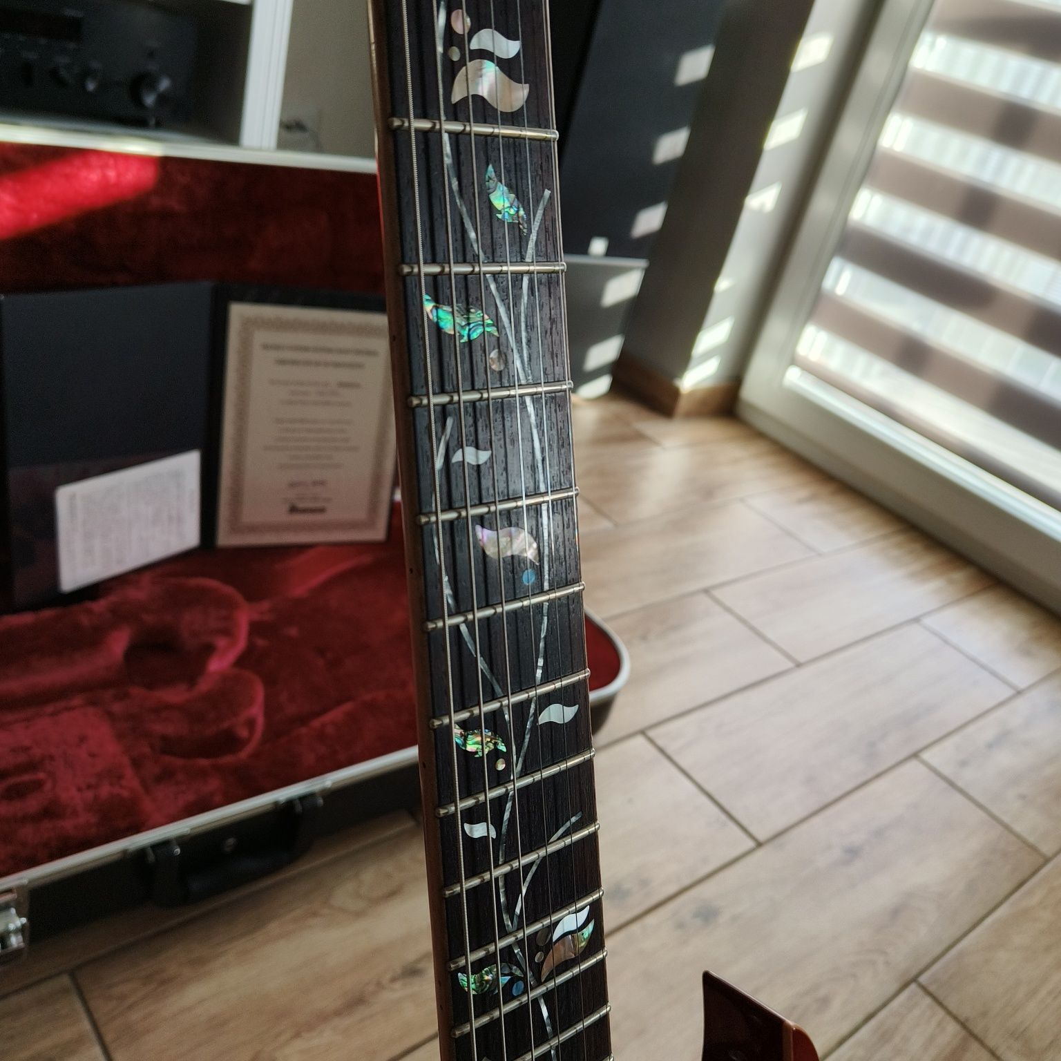 Ibanez J Custom Team J Craft RG8420ZD