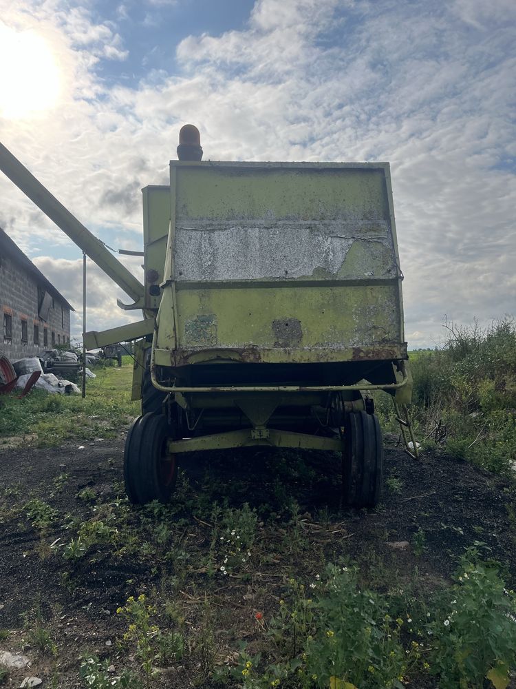 Kombajn zbożowy Class Dominator 80 z przystawką do kukurydzy