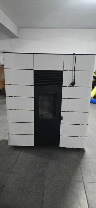 Salamandra solzaime de paletes