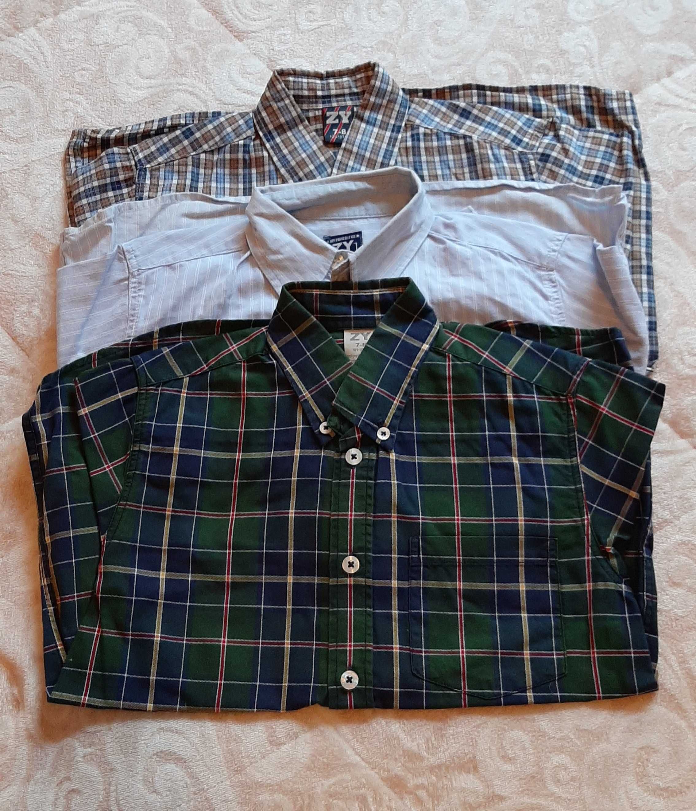 3 Camisas zippy menino