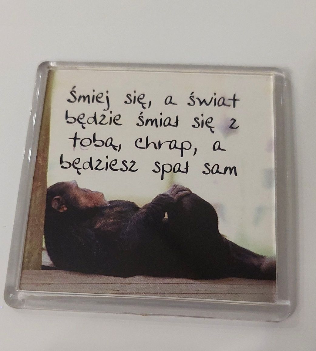 3 magnesy na lodówkę z tworzywa(15)