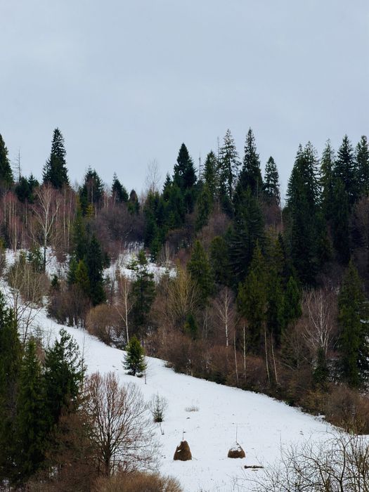 Оренда будинку у Славську Славське Славськ Тухля подобово котедж чан
