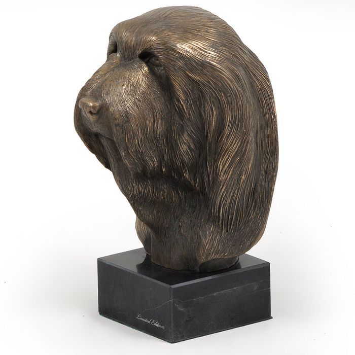 Bearded Collie głowa na kamieniu Art-Dog