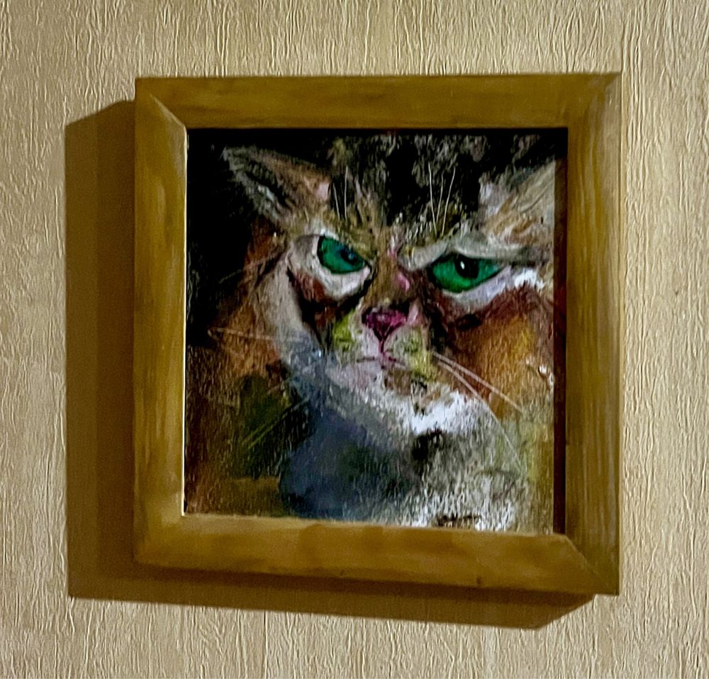 Портрет кота, олія, полотно 20х20 , рамка