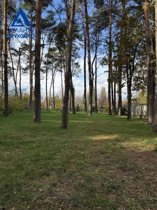 Продається дачний (садовий) будинок біля лісу!!!