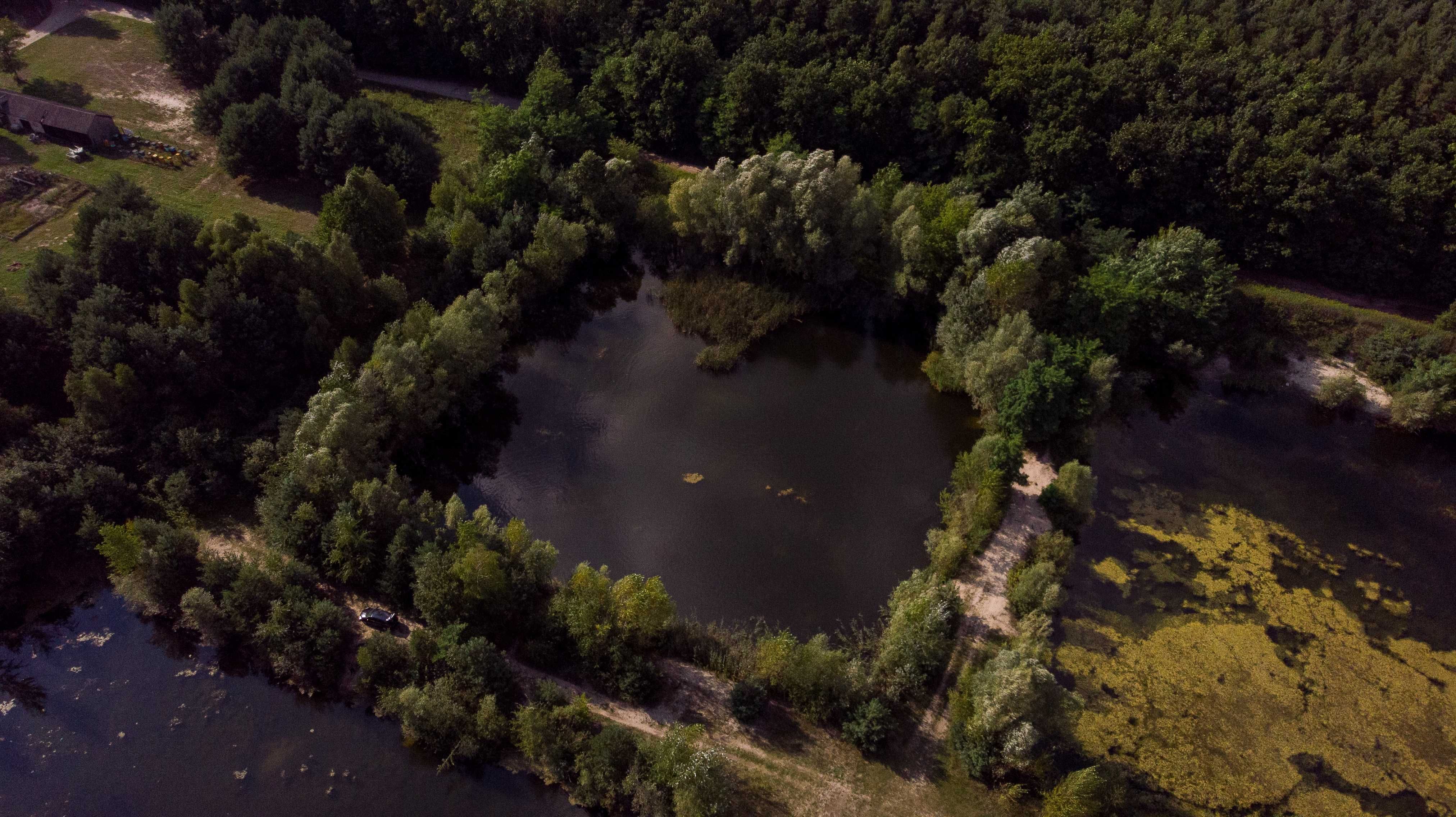 Działka 7,5ha, 6x stawy wędkarskie, przy rezerwacie Natura 2000