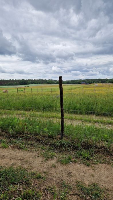 Sprzedam działkę Przybiernów koło Goleniowa