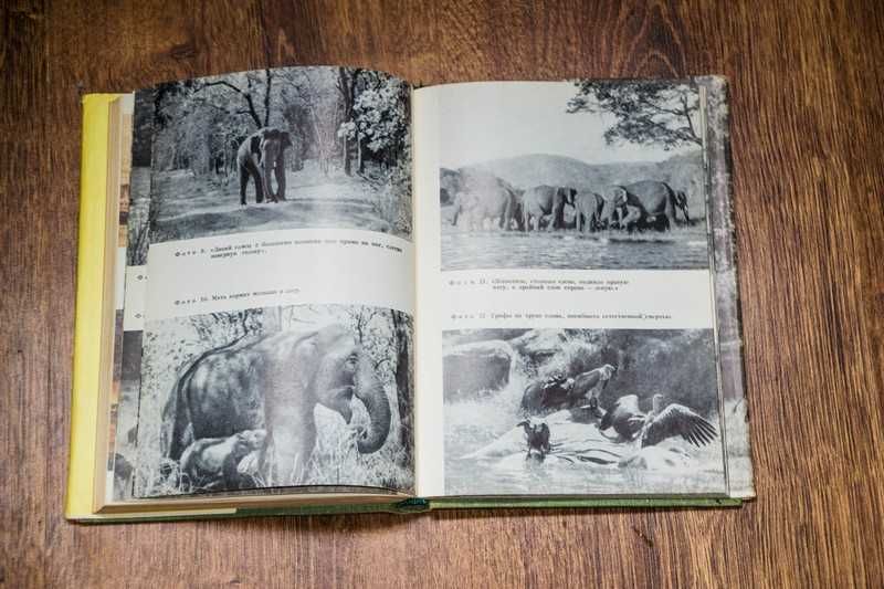 Джи Э. П. Дикие животные Индии 1968