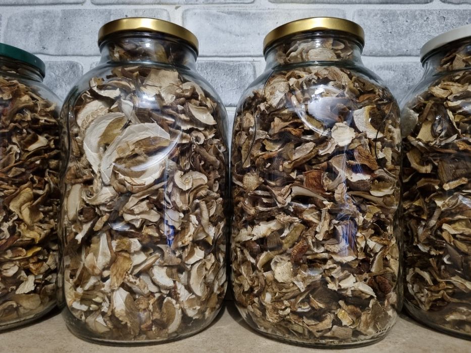 Grzyby suszone Borowik