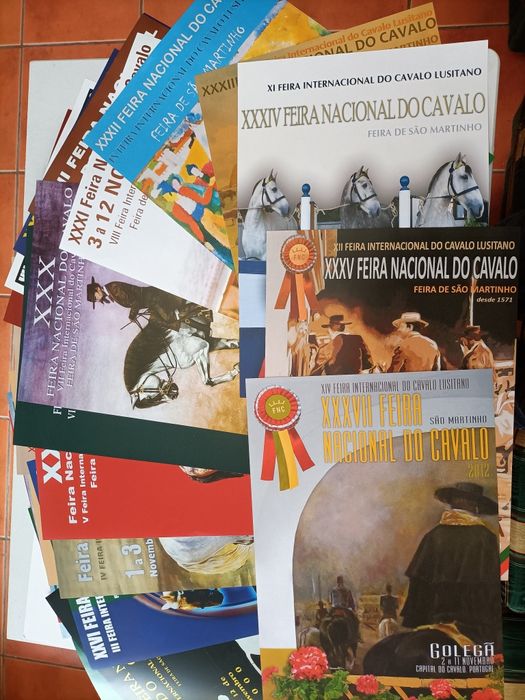 Feira de São Martinho-vários Posters + Pasta com 34 posters diferentes