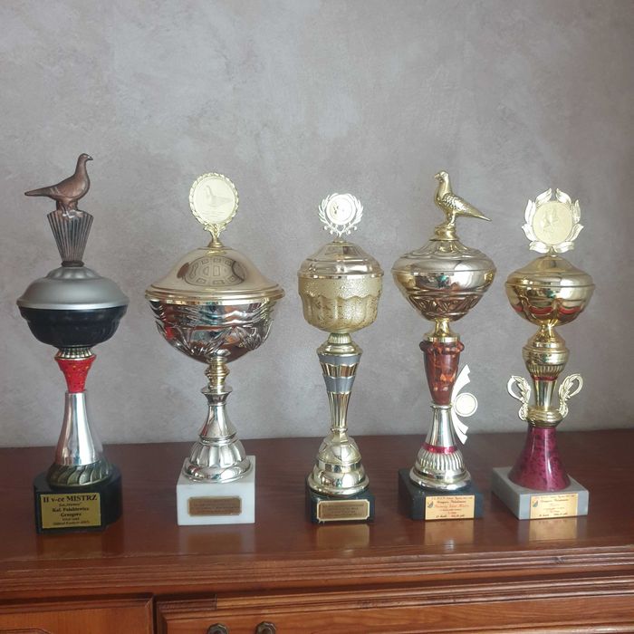 Puchary dla gołębi  pocztowych