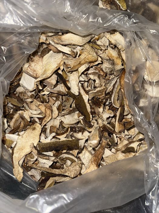 Сухий білий Гриб