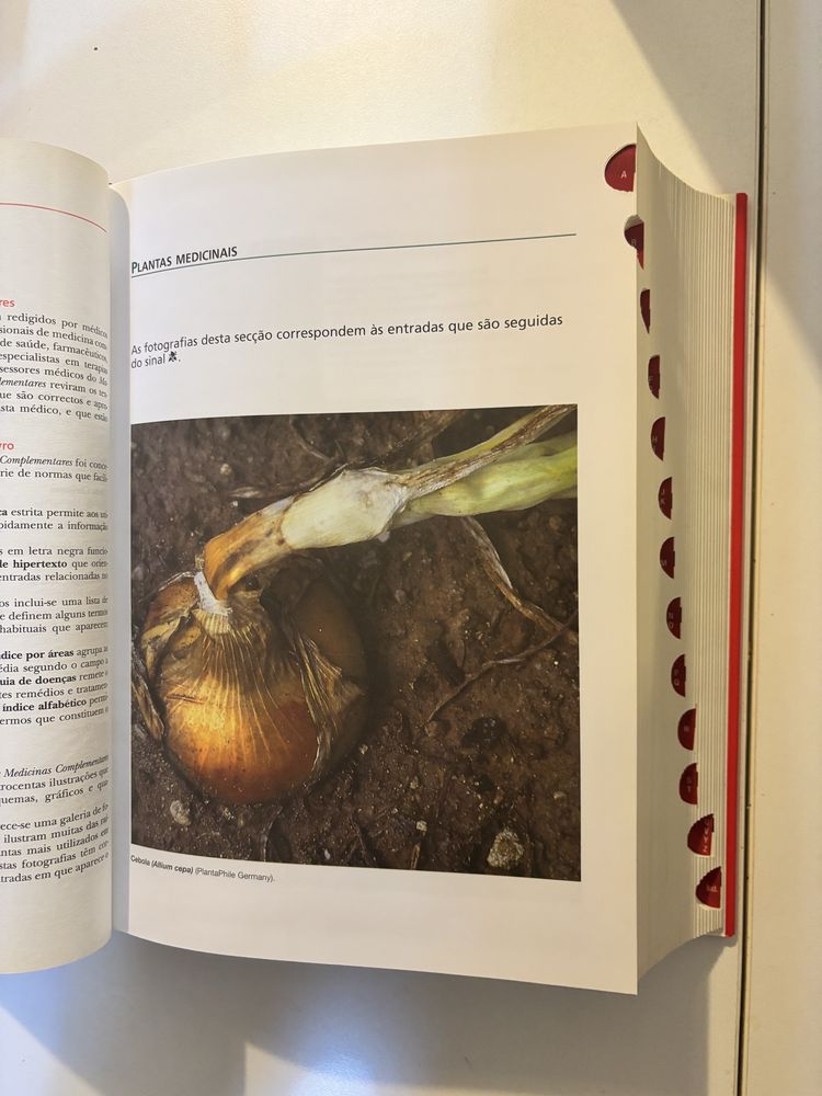 Manual de Medicinas complementares - Oceano