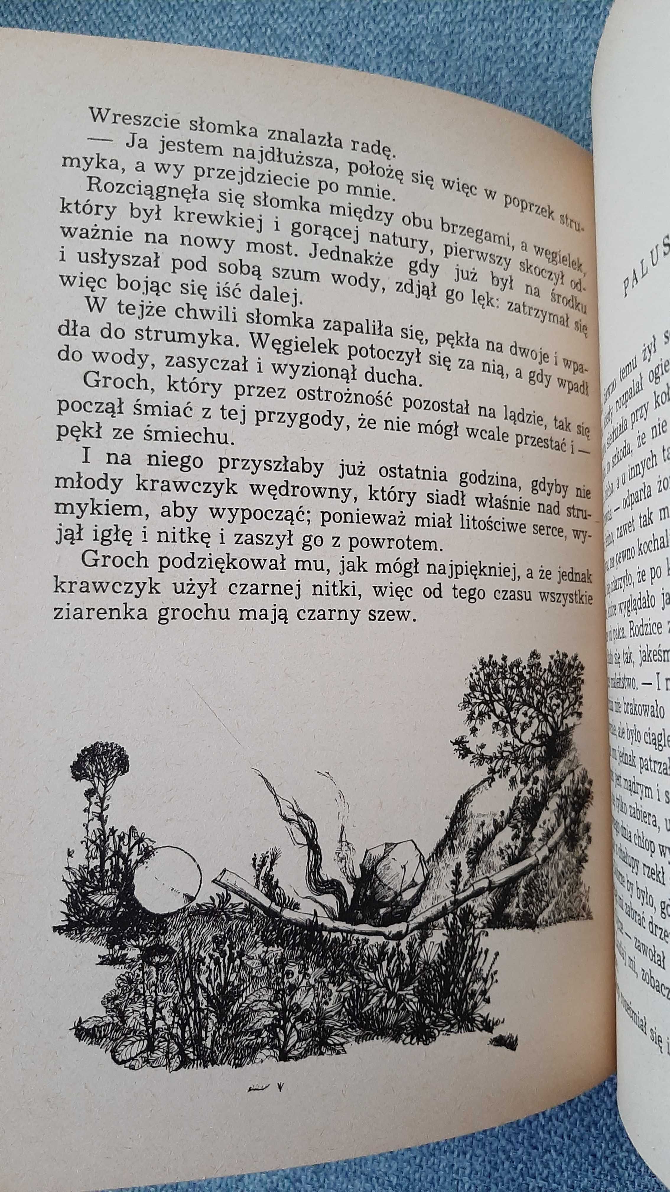 Baśnie Braci Grimm 1982 Il. Bożena Truchanowska Wiesław Majchrzak