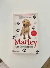 Marley, um cão especial