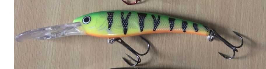 Storm Deep Thunder Rapala Salmo