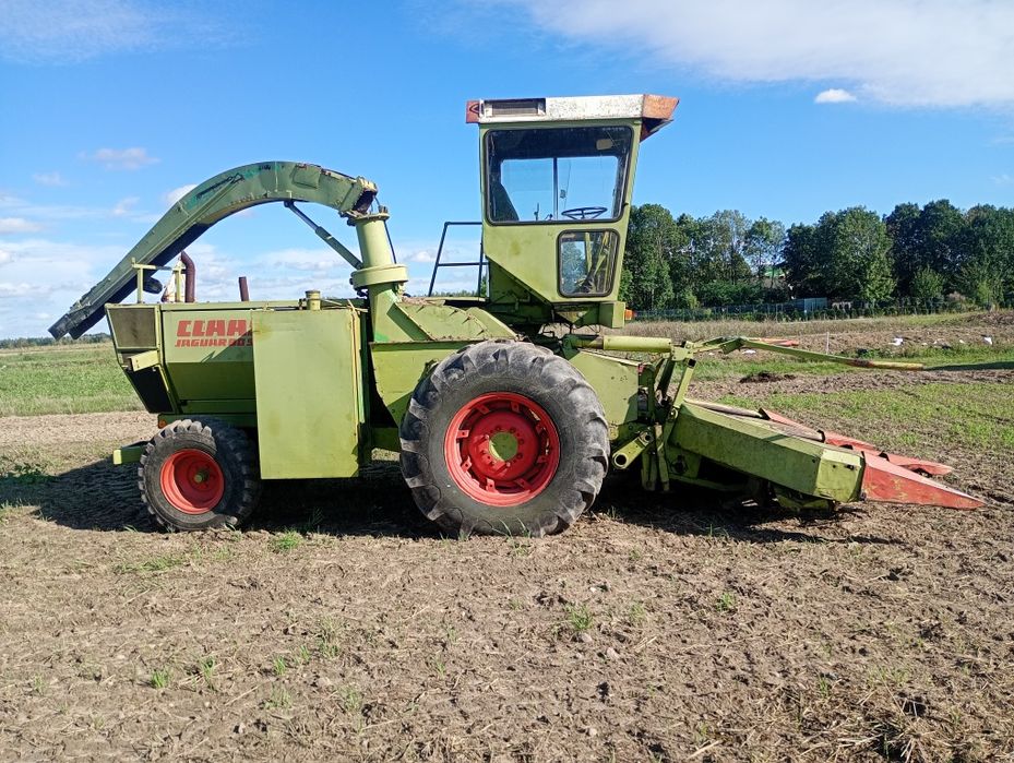 Sieczkarni do kukurydzy Claas jaguar 80sf