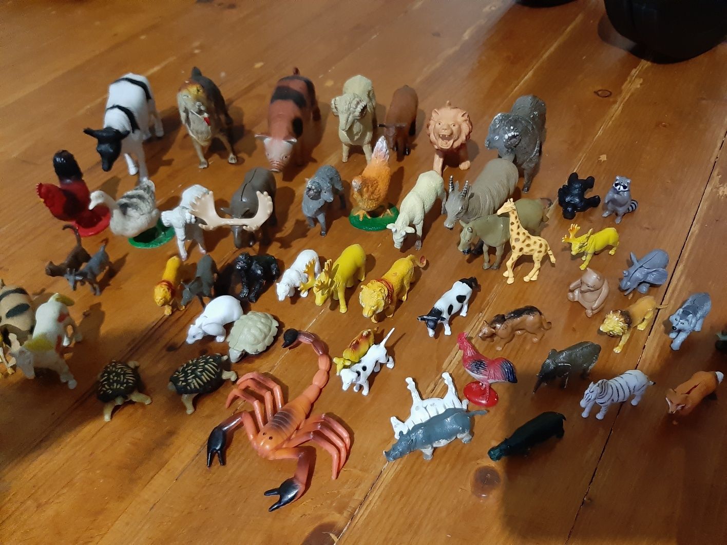 Тварини, динозаври