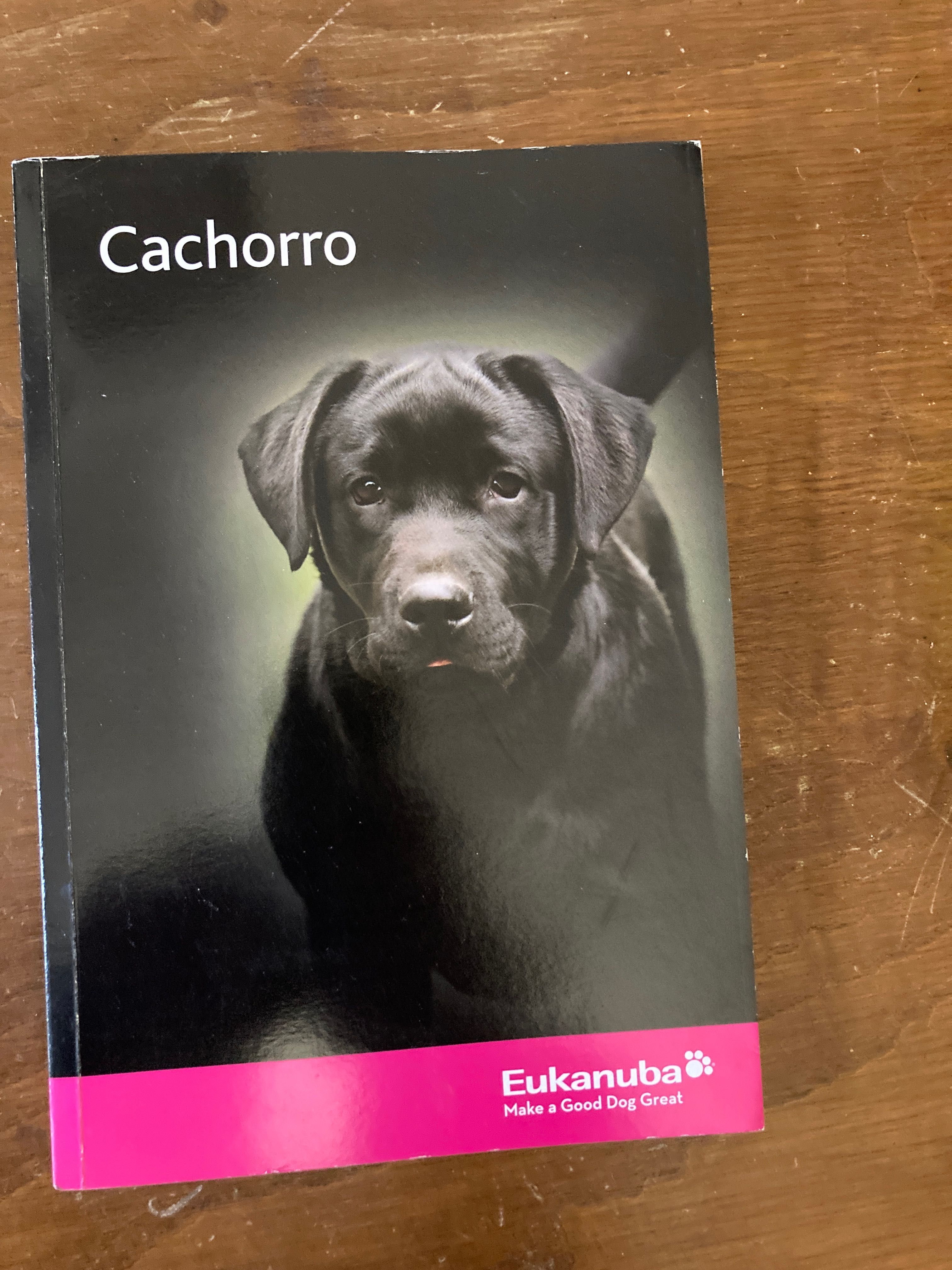 Livro educação cães cachorro