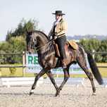 Trabalho e ensino de cavalos