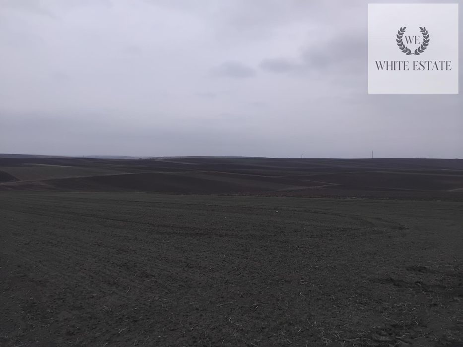 Продаж земельної ділянки с.Плотича