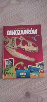 Książka o dinozaurach