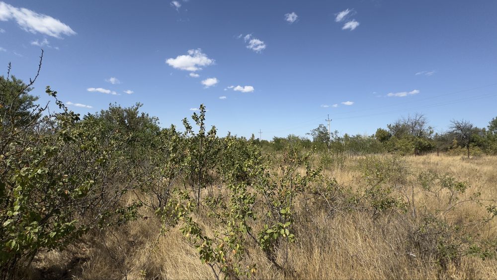 Участок 12 соток Новая Дофиновка