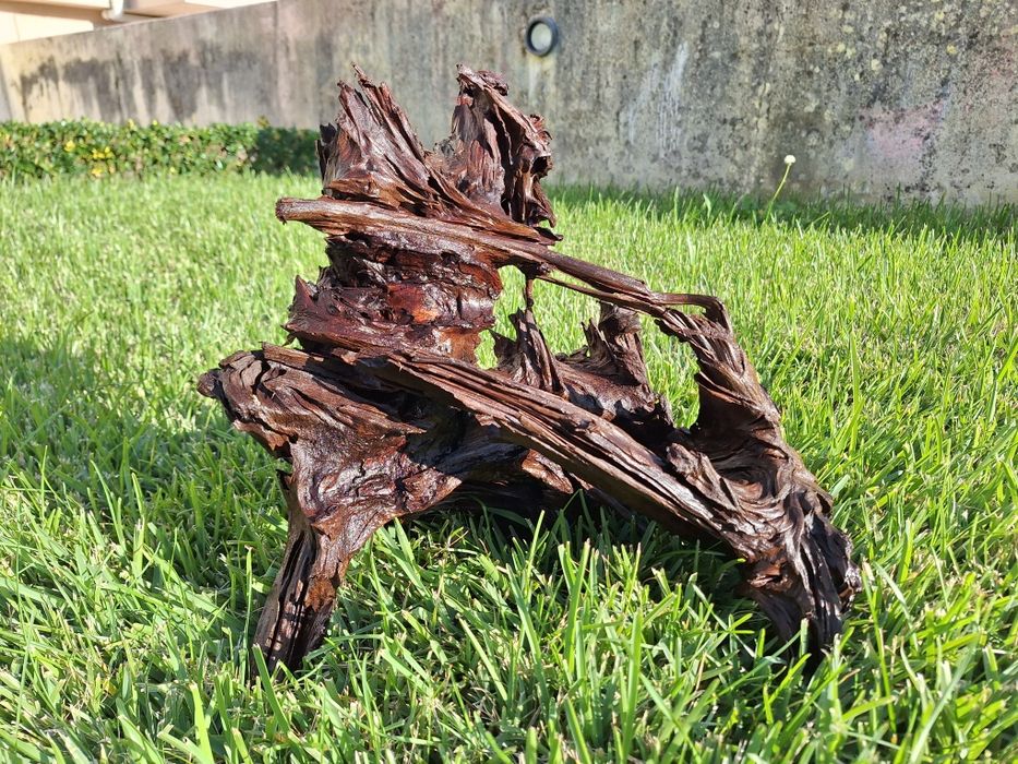 Tronco Expetacular para aquario