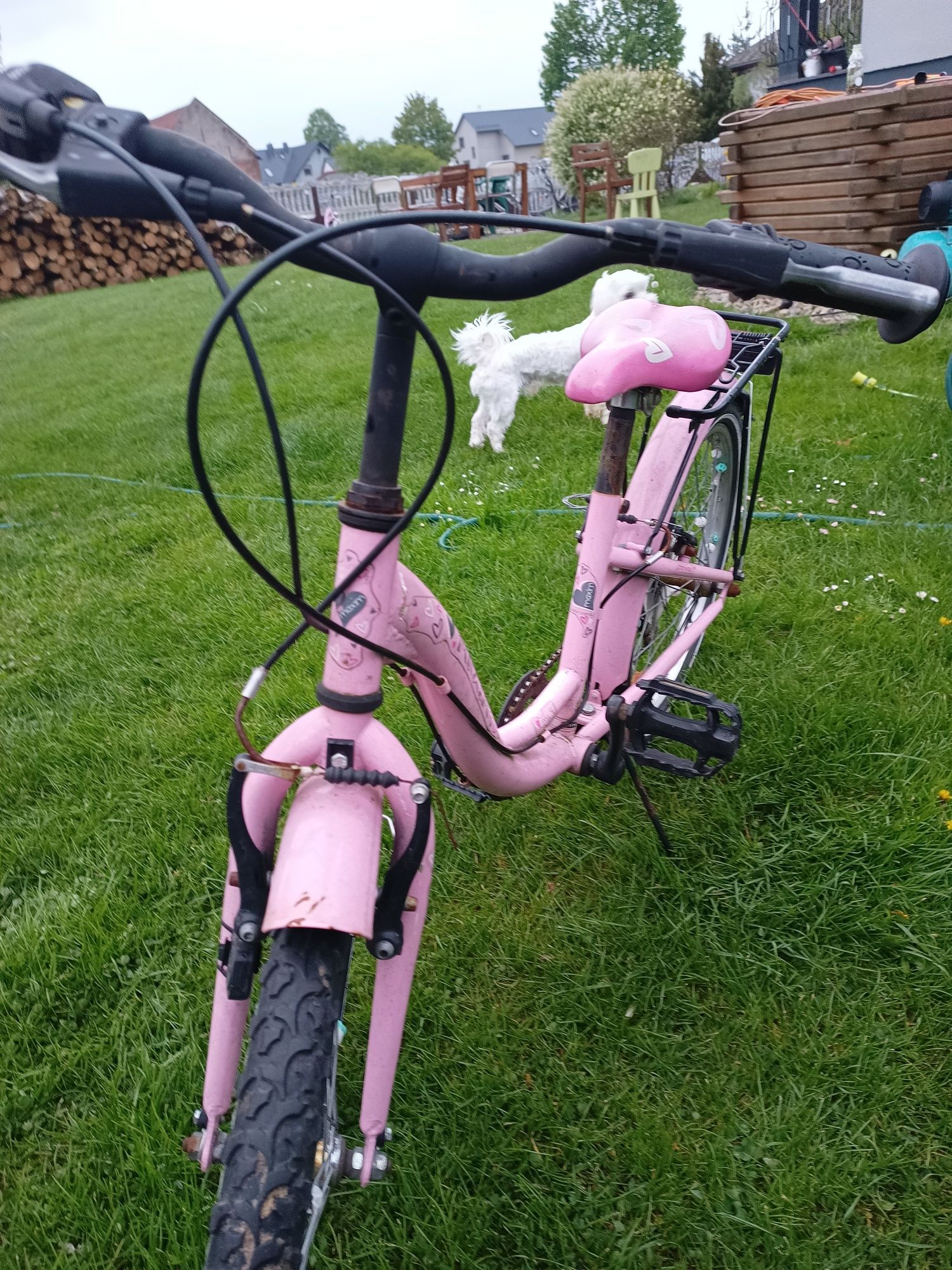 Rower dla dziewczynki 20cali
