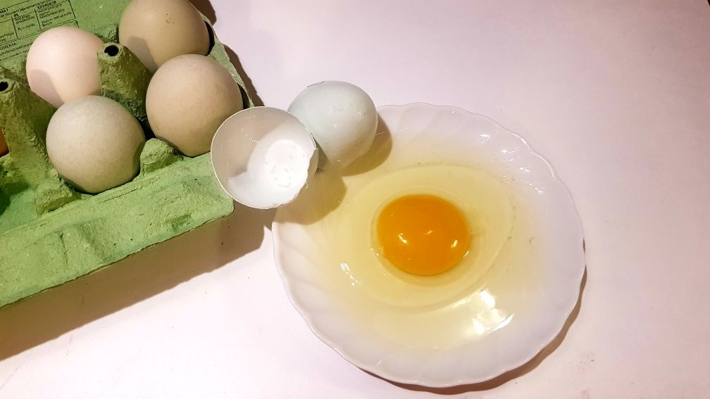 Zielone jajka BIO od kur z wolnego wybiegu EKO naturalne
