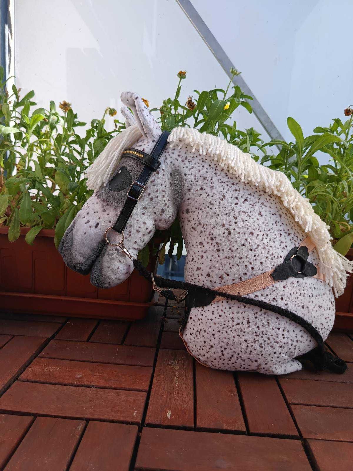 Hobby Horse siwy w hreczke