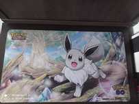 Pokemon Go mata do gry Evee oryginalna, 59,5 cm x 34 cm