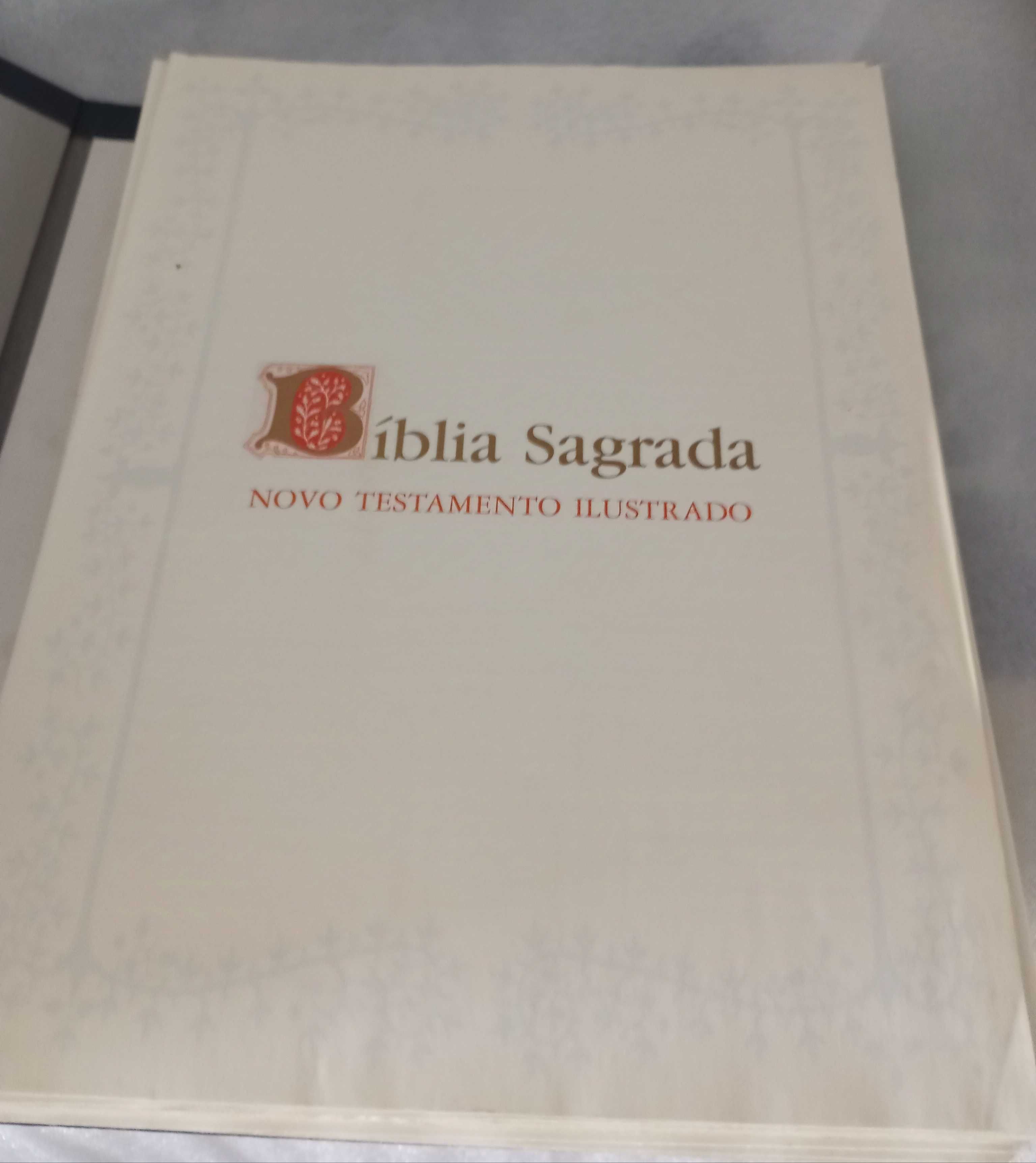 Bíblia Sagrada em 37 fascículos