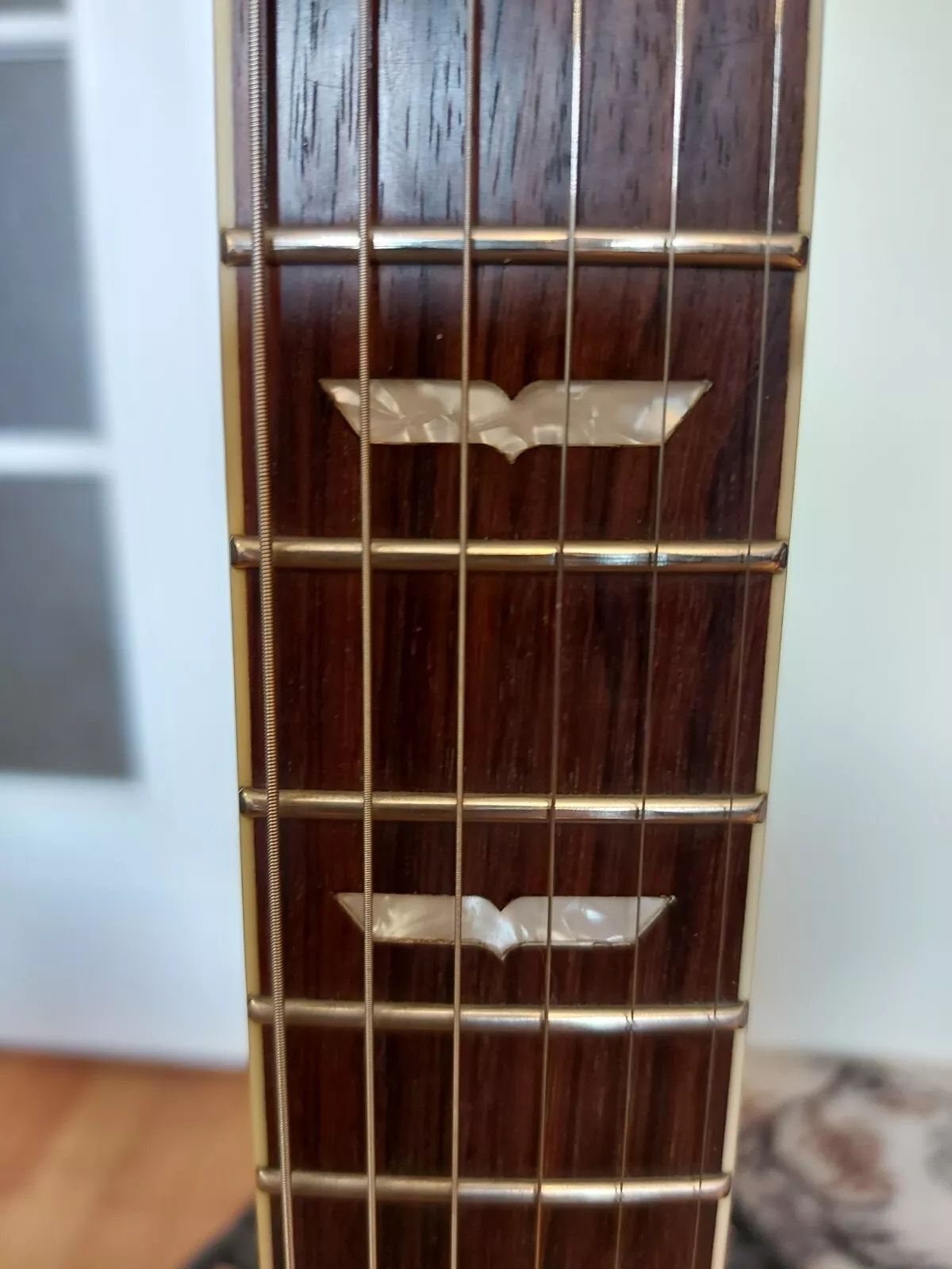 Washburn WI-66 PRO G
