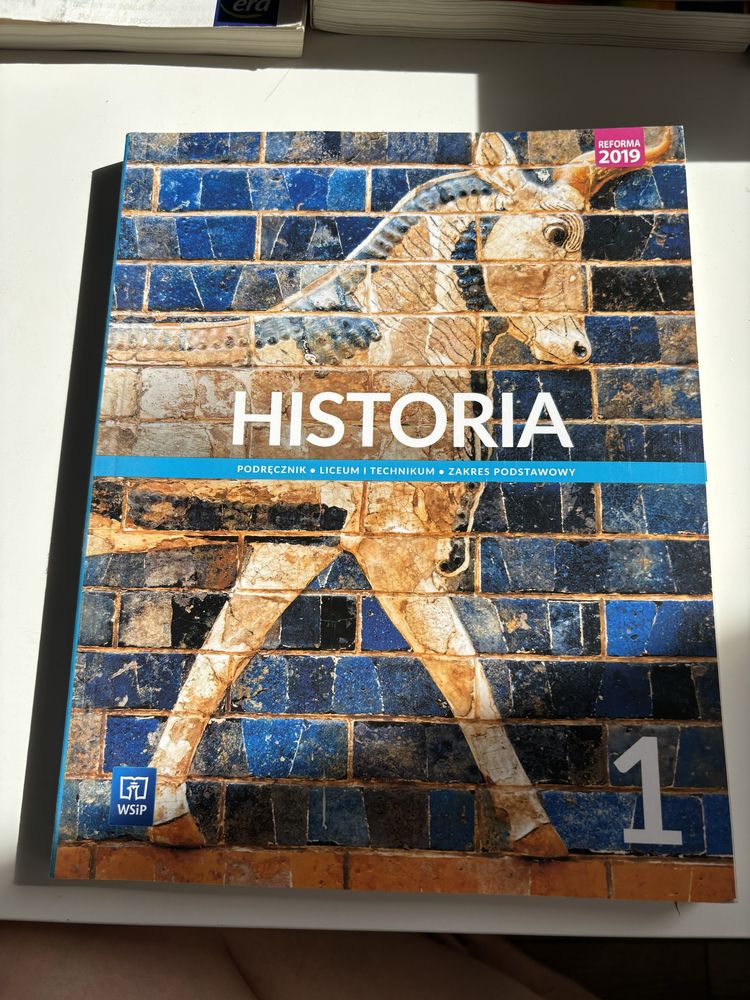 Historia 1 wsip