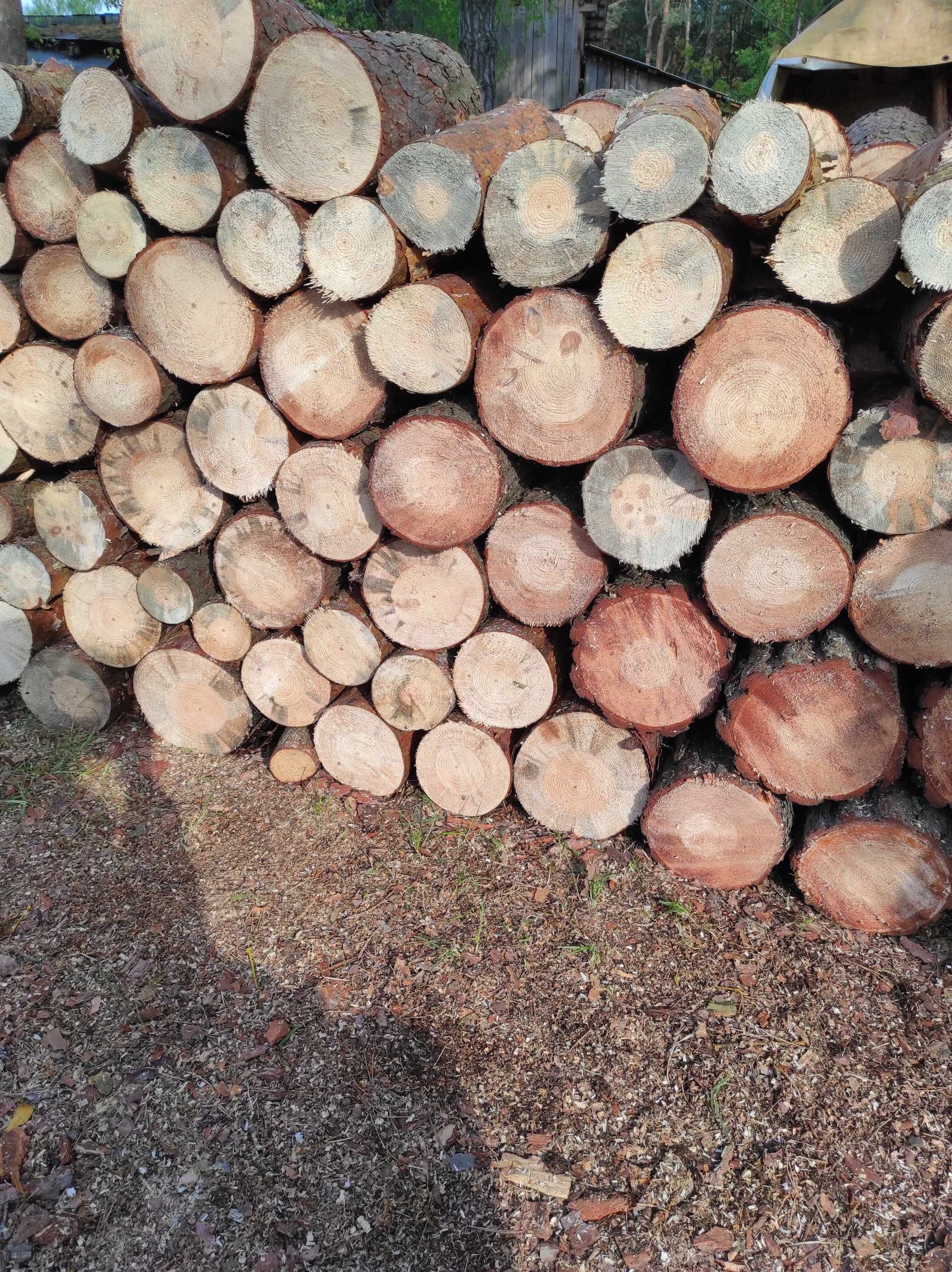 Drewno opałowe sosnowe.
