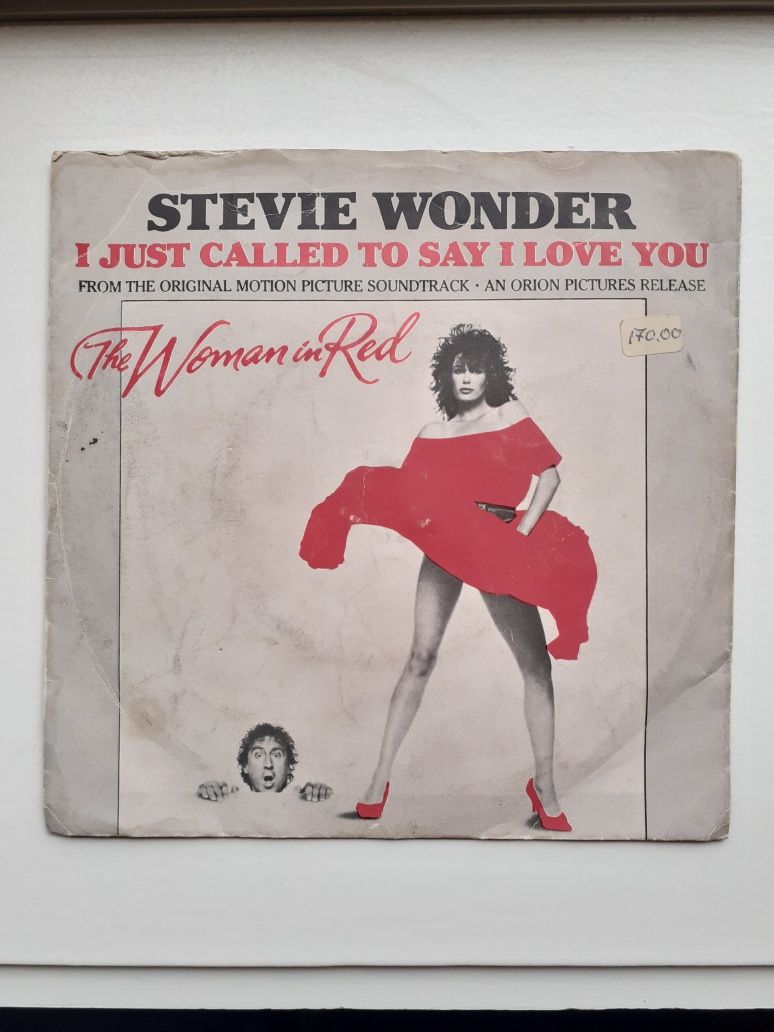 Stevie Wonder- i just call...