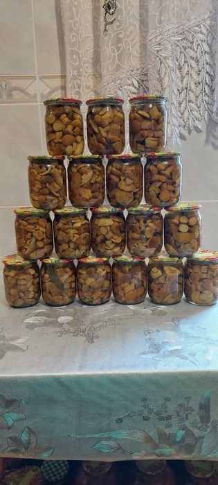 Продам мариновані польські грибочки. Ціна 115гр. Зібрані 5 днів тому.