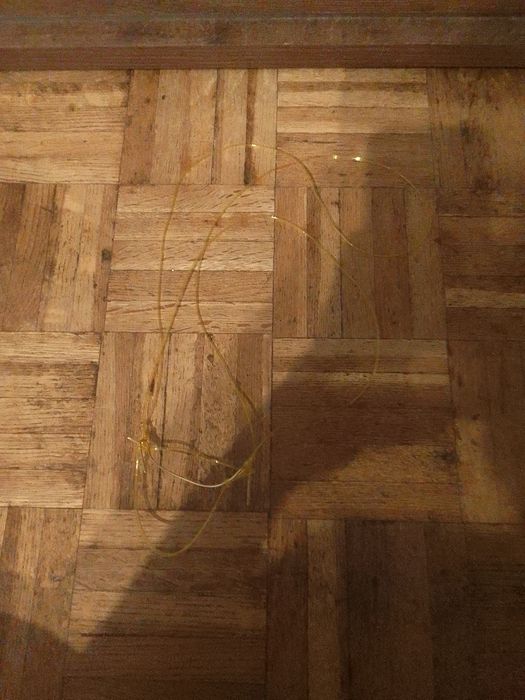 Ogłowie dla hobby horse