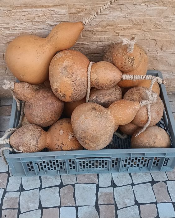 Decoração muitas cabaças antigas