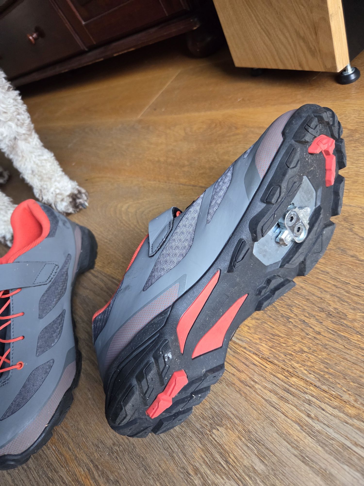 Buty spd shimano shmt501m