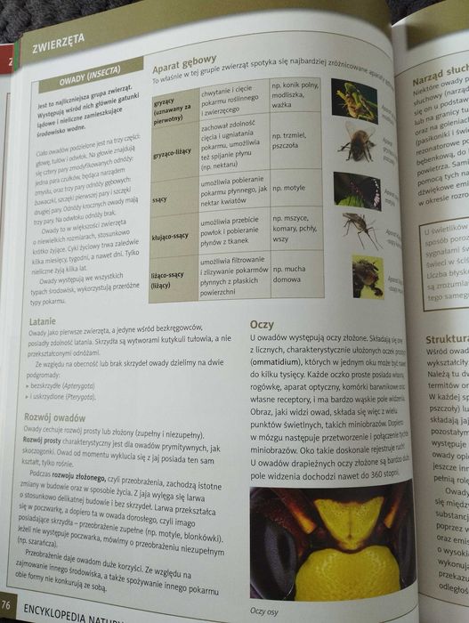 Encyklopedia natury
