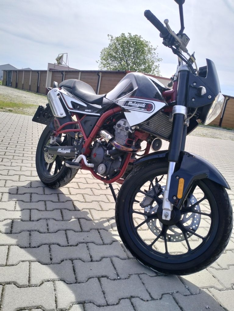 Malagutii Monte pro 125