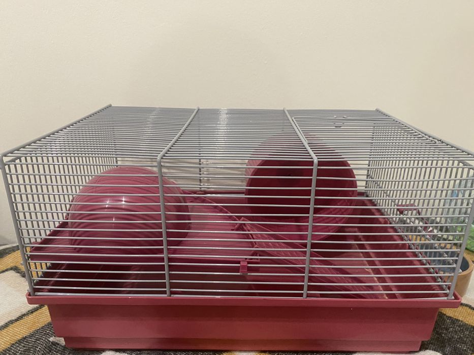 Gaiola para Hamster, roedor