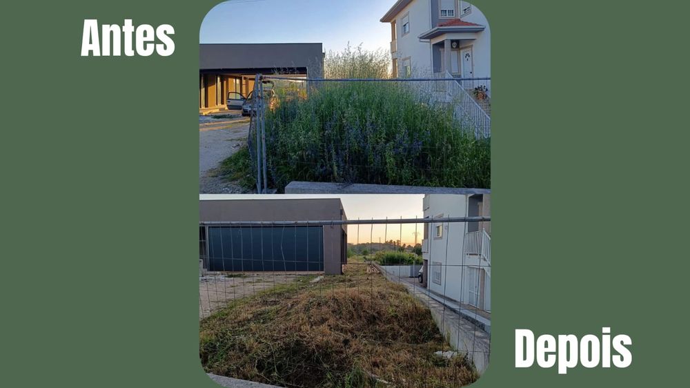 Limpeza de terrenos e jardins