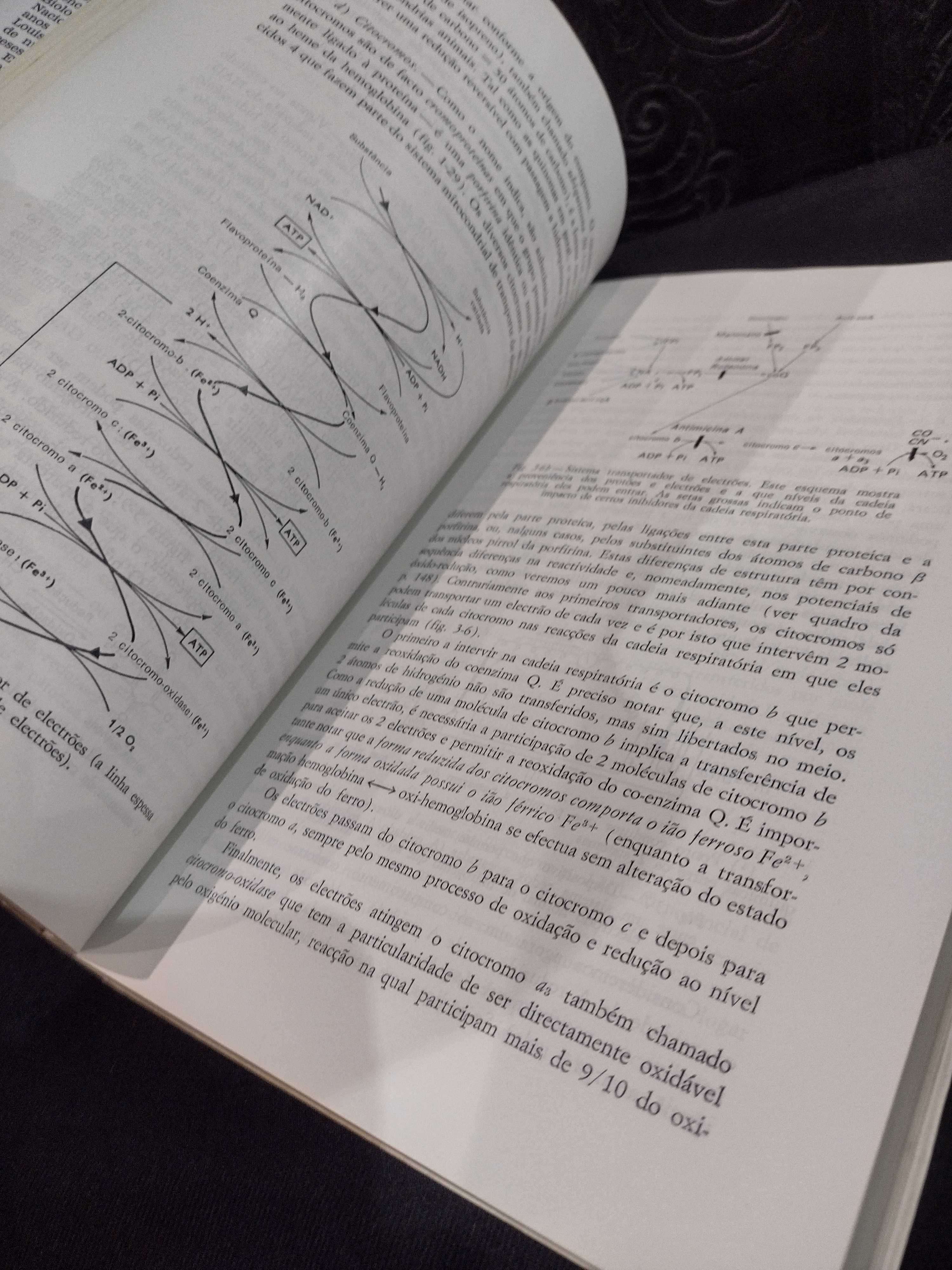 Bioquímica Geral - Jacques Henry Weil