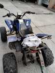 Quad z przyczepką